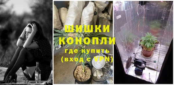 трава Переславль-Залесский