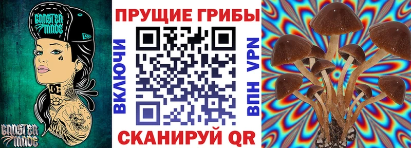 Галлюциногенные грибы ЛСД  Кириллов 